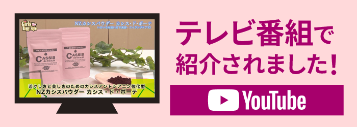 テレビ番組で紹介されました！リンクボタン